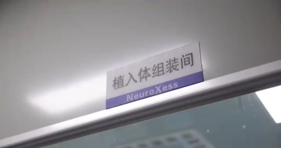 شركة NeuroXess طوّرت شريحة تنزرع داخل الدماغ.