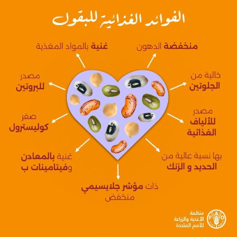 البقول  هي حليفنا اللذيذ في تحقيق الأمن الغذائي والحد من سوء التغذية